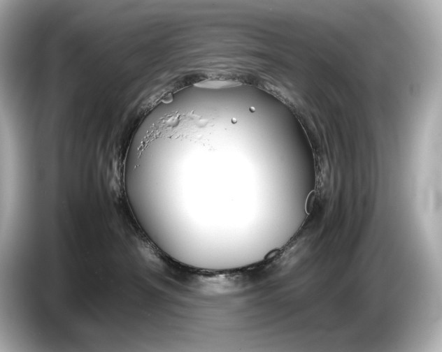 X0000086960430200704301241