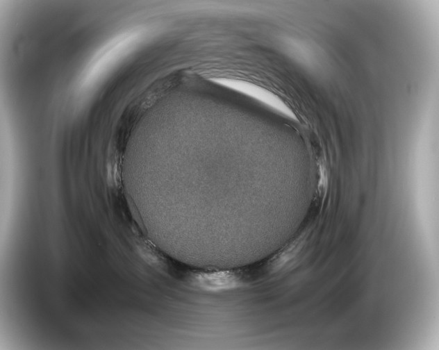 X0000086960431200704301241