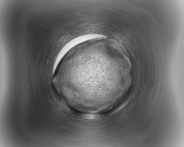 X0000086960432200704301241