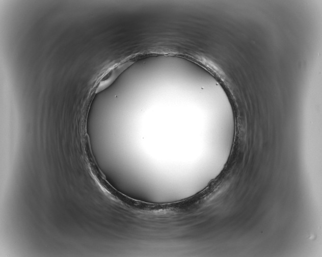 X0000086960433200704301241