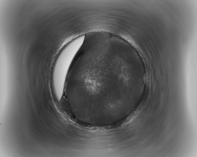 X0000086960434200704301241