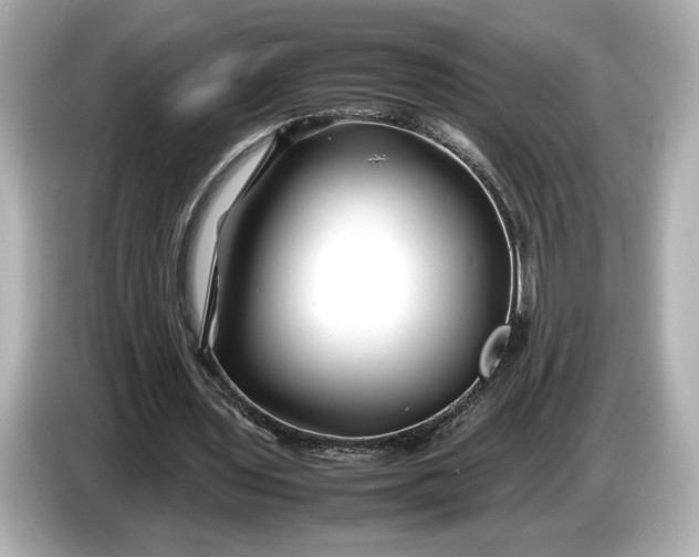 X0000086960435200704301241