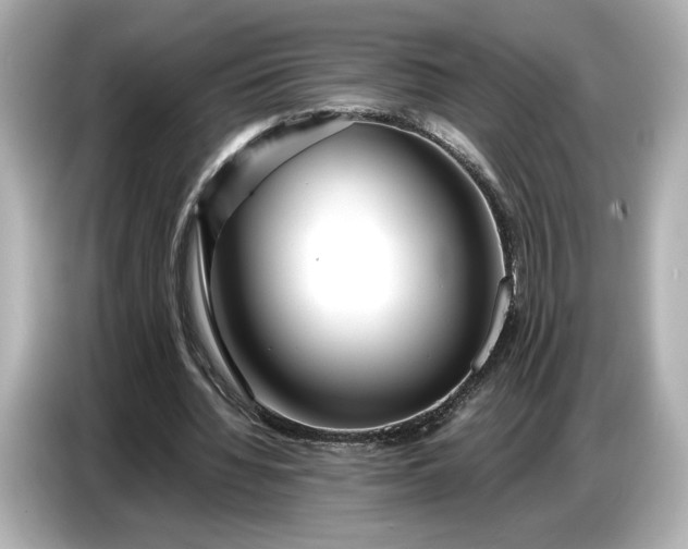 X0000086960436200704301241