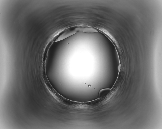 X0000086960437200704301241