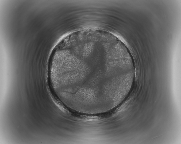 X0000086960438200704301241