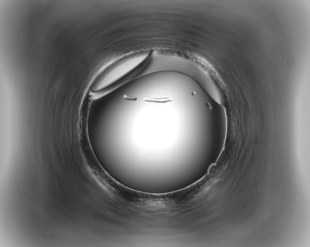 X0000086960439200704301241