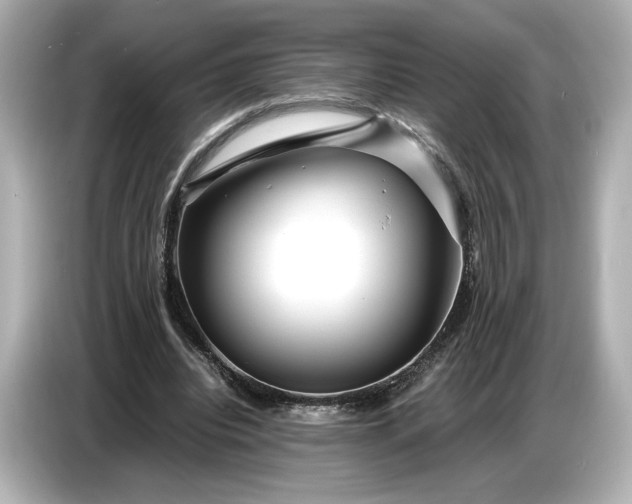 X0000086960440200704301241
