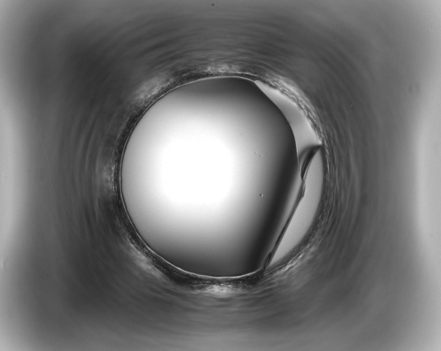 X0000086960441200704301241
