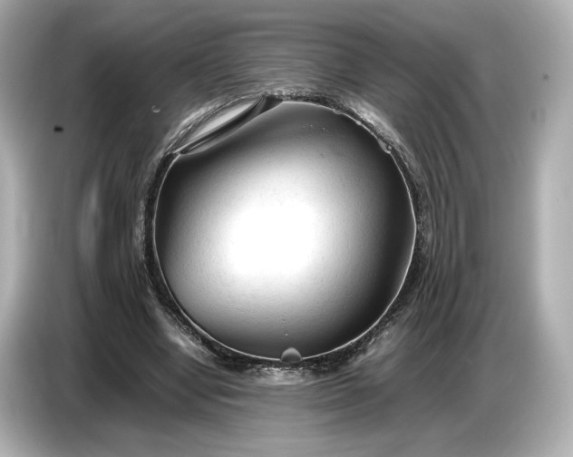 X0000086960442200704301241