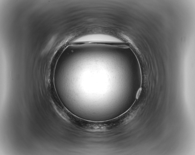 X0000086960443200704301241