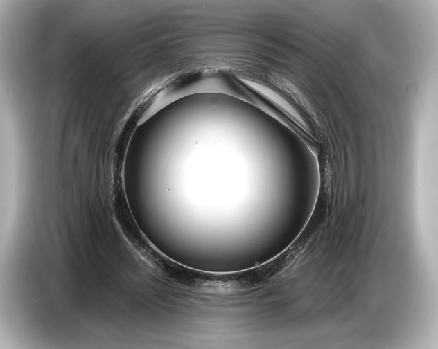 X0000086960444200704301241