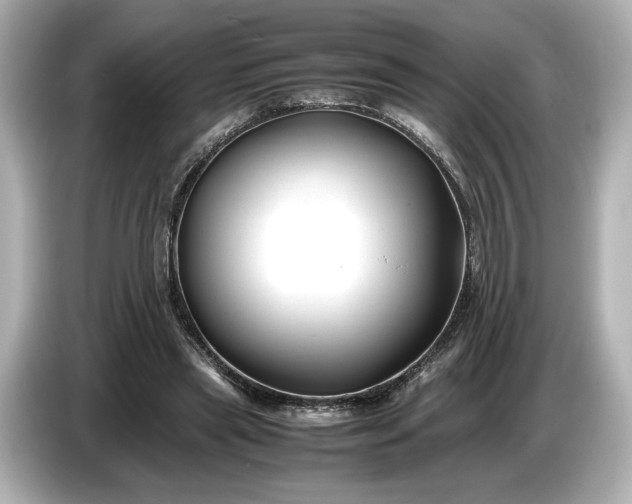 X0000086960445200704301241
