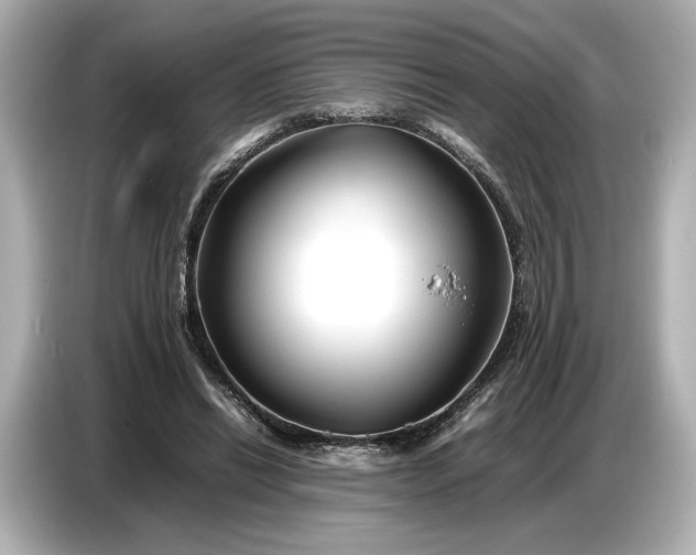 X0000086960446200704301241