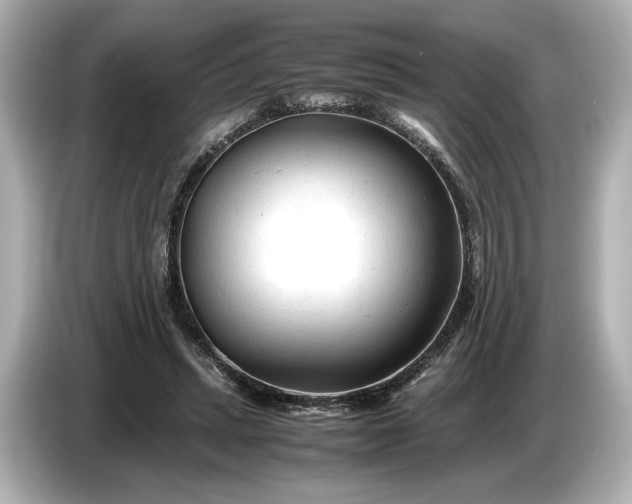 X0000086960447200704301241