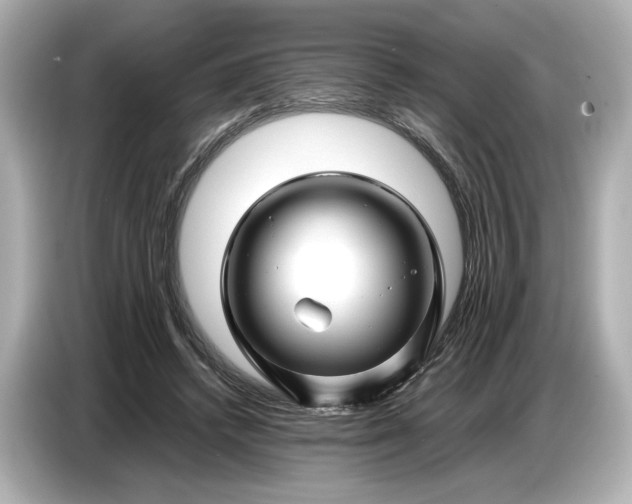 X0000086960448200704301241