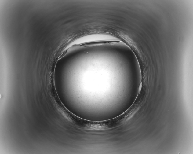 X0000086960449200704301241