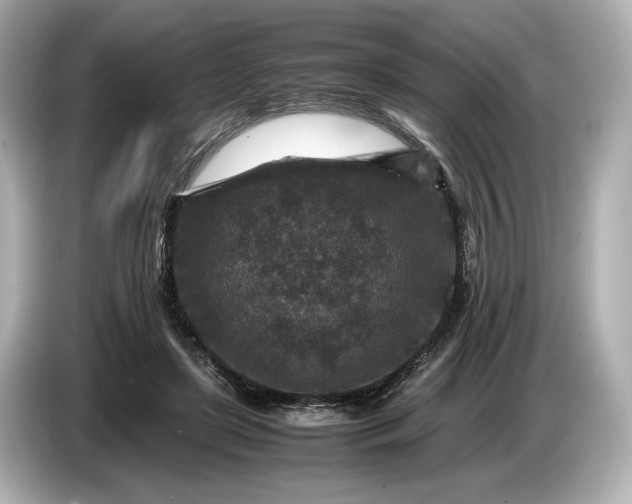 X0000086960451200704301241