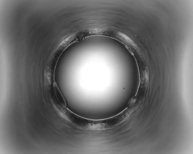 X0000086960452200704301241