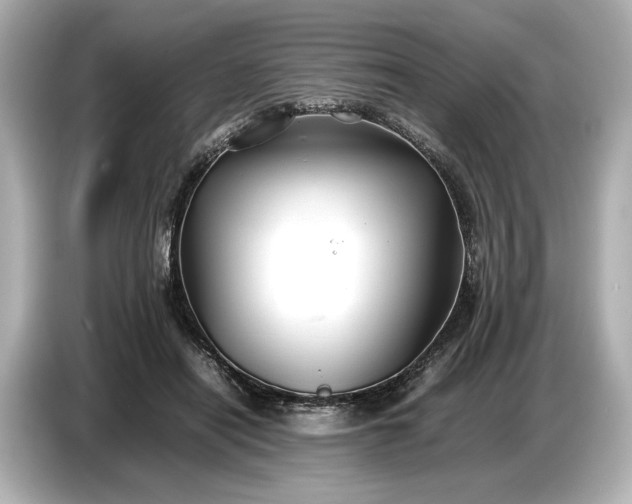 X0000086960454200704301241