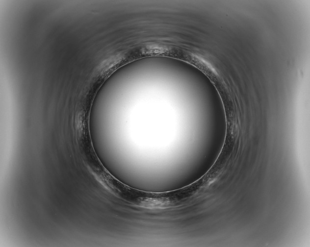 X0000086960455200704301241