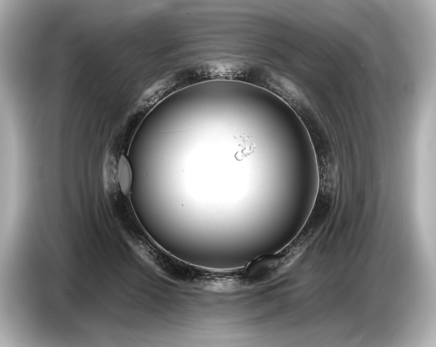 X0000086960456200704301241