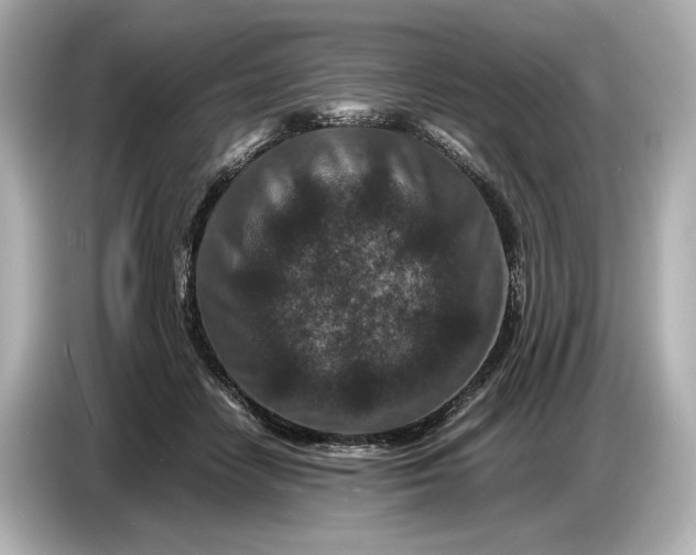 X0000086960458200704301241
