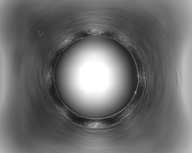 X0000086960460200704301241
