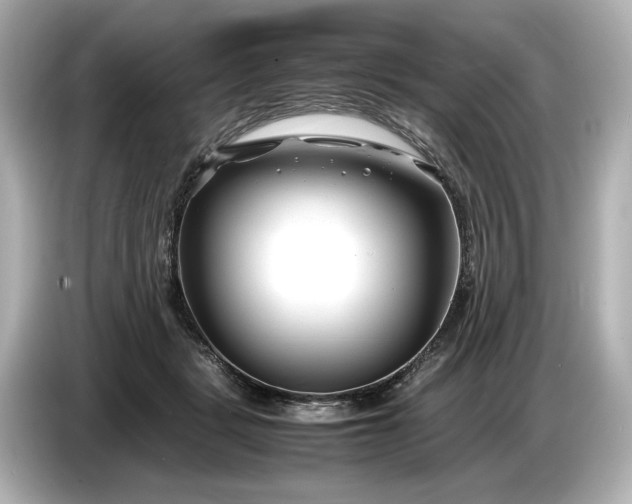 X0000086960461200704301241