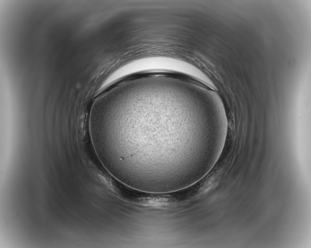 X0000086960462200704301241