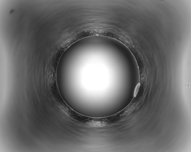 X0000086960464200704301241