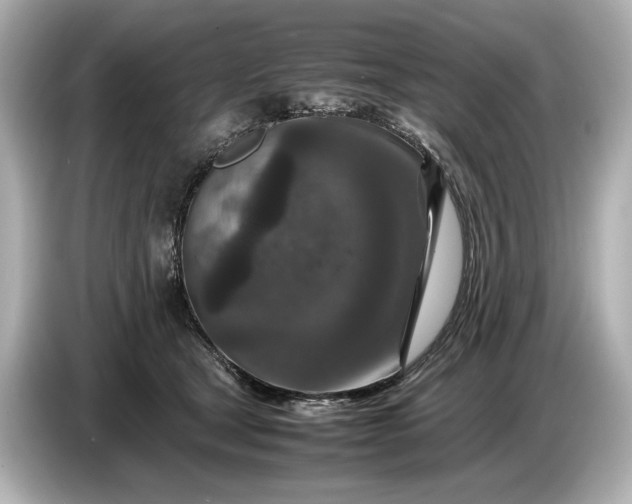 X0000086960465200704301241
