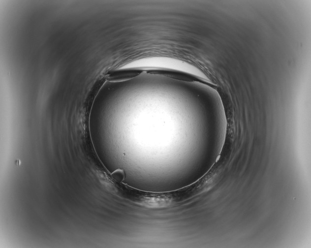 X0000086960466200704301241