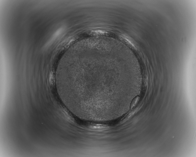 X0000086960467200704301241