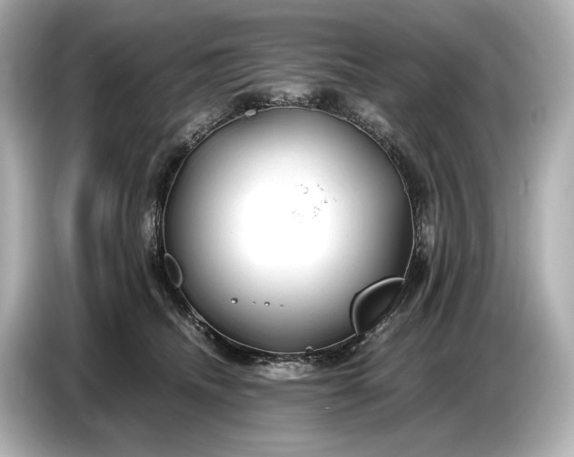 X0000086960468200704301241