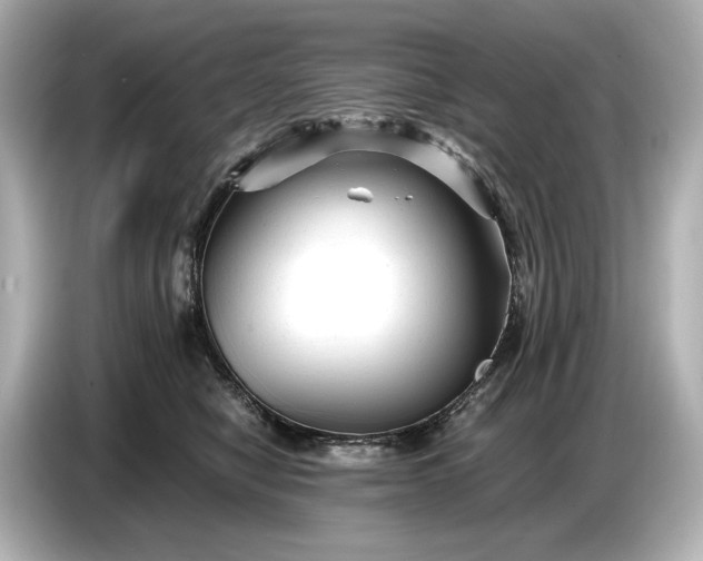 X0000086960470200704301241