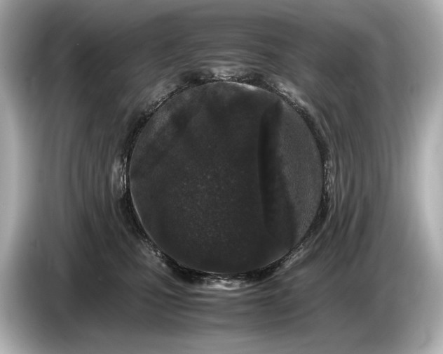 X0000086960471200704301241