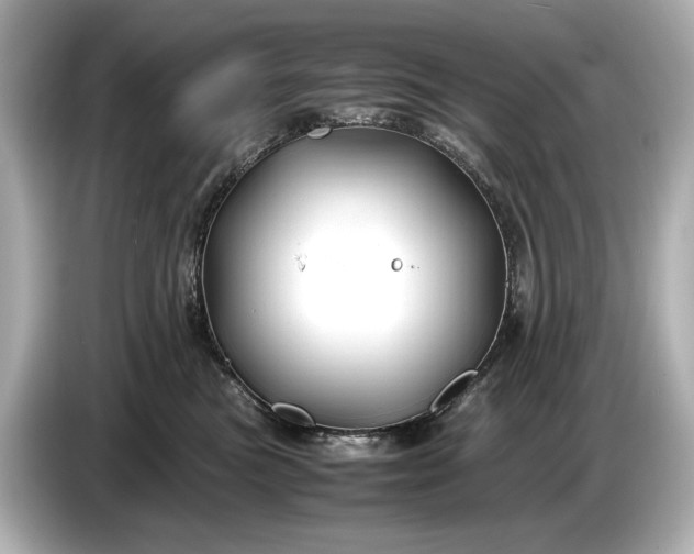 X0000086960473200704301241