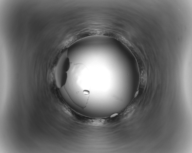 X0000086960474200704301241