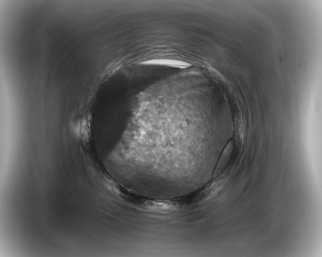 X0000086960475200704301241