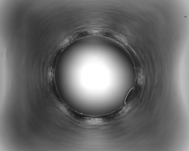 X0000086960476200704301241