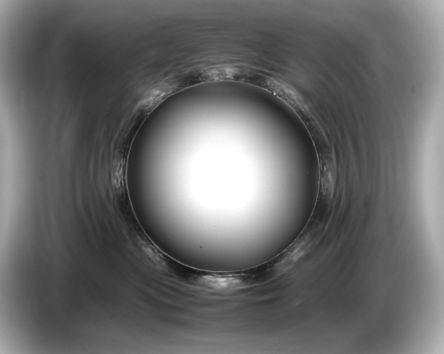 X0000086960477200704301241