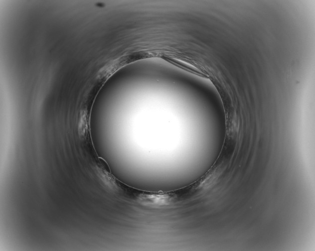 X0000086960478200704301241