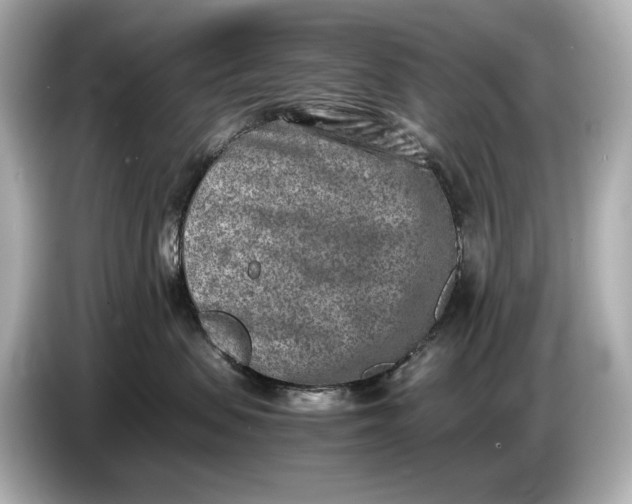 X0000086960479200704301241