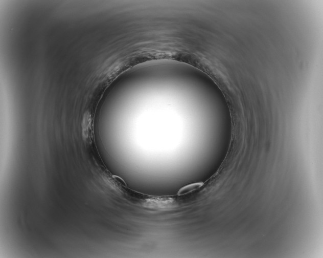 X0000086960480200704301241