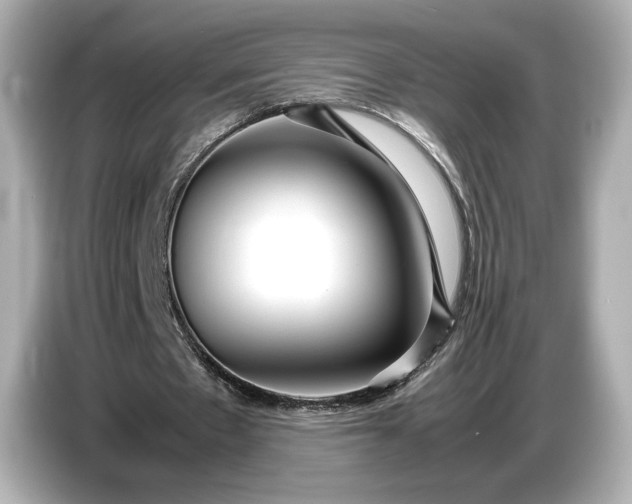 X0000086960481200704301241