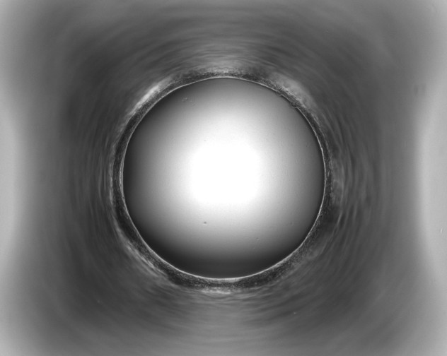 X0000086960482200704301240