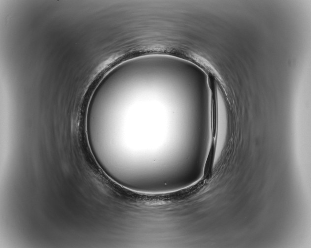 X0000086960483200704301240