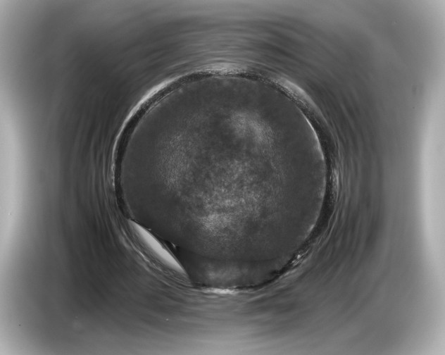 X0000086960484200704301240