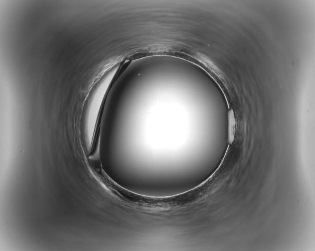 X0000086960485200704301240