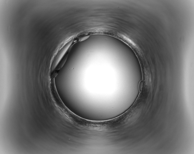 X0000086960486200704301240